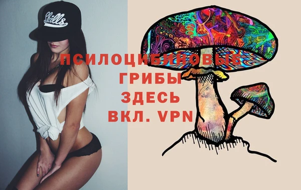 a pvp Елизово